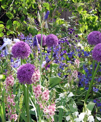 Garden Services with Pink, purple and white planting