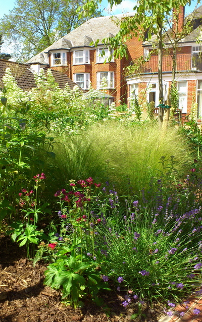Planting in Care home garden