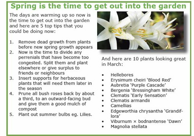 Rhoda Maws advice for Springtime
