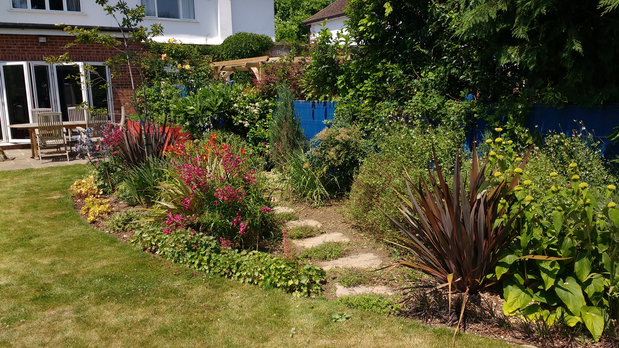 Garden Planting advice for clients who like Colour