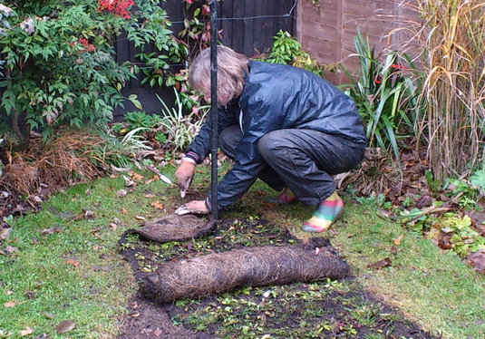 Professional planting advice-Rhoda Maw laying Perennial Meadow turf.