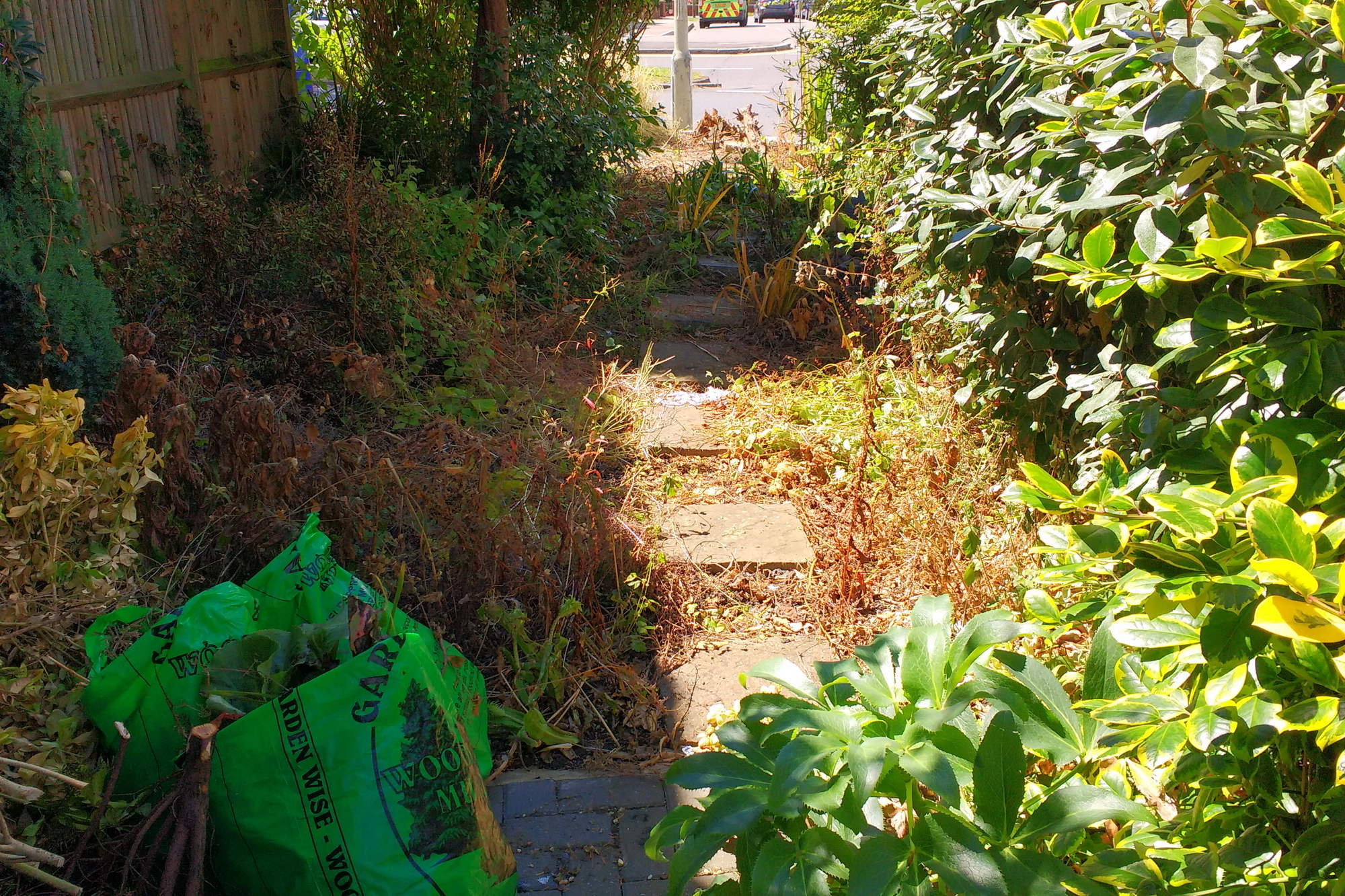 An overgrown front garden in Ickenham needing Rhoda Maw's help
