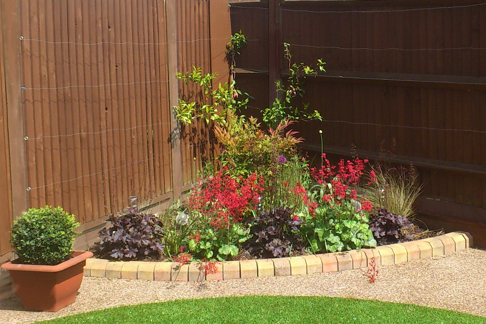 Garden planting design for Northolt. Rhoda Maw Garden Design painted the fence posts and added fabulous colour to this tiny border