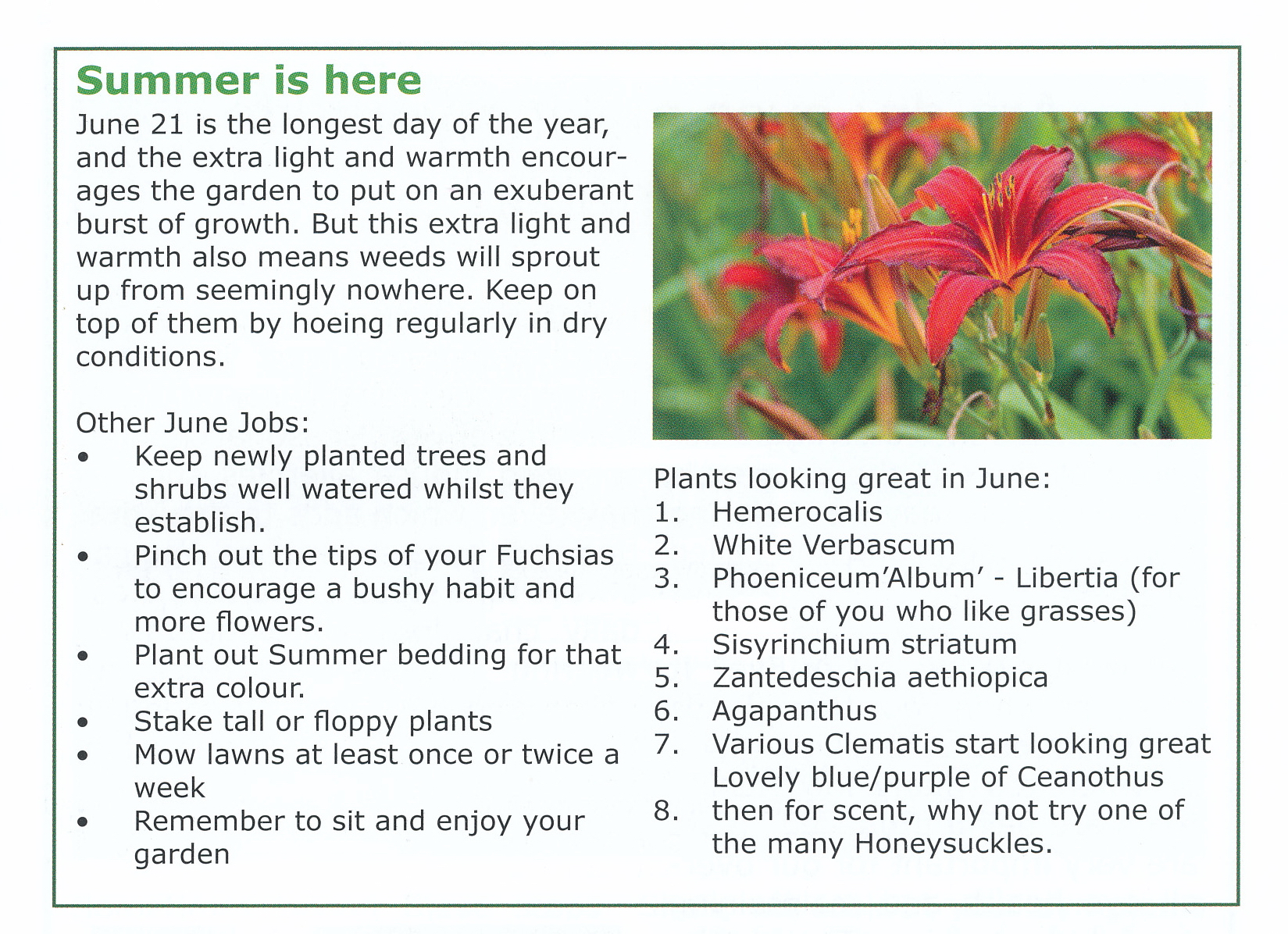 Article about Ten best plants for June and what to do in the Garden in June