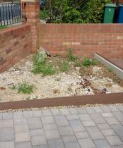 pebble garden before any work done to it