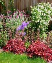 Colourful planting in a Medium garden design